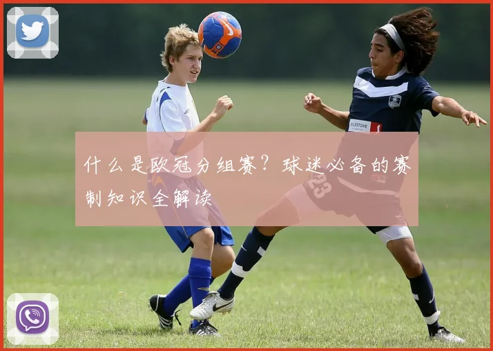 什么是欧冠分组赛？球迷必备的赛制知识全解读