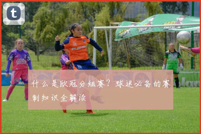 什么是欧冠分组赛？球迷必备的赛制知识全解读